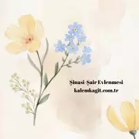 Şinasi-Şair Evlenmesi featured image